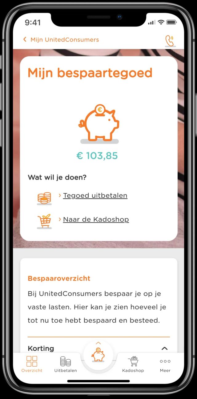 Bespaartegoed - screenshot 1